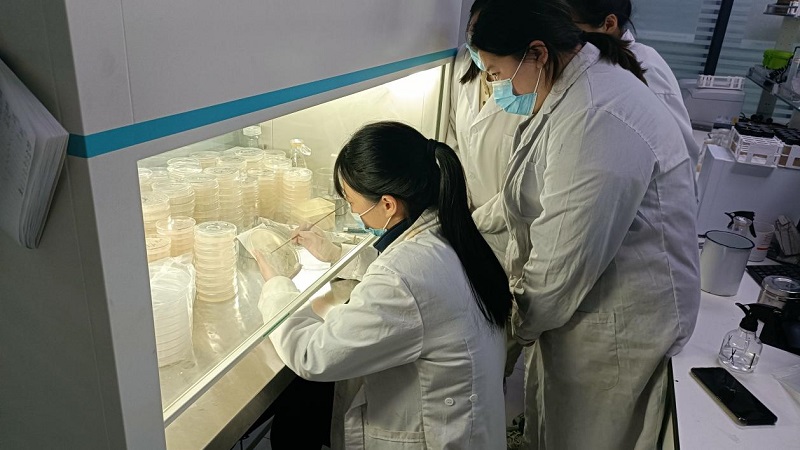 微生物檢測濾膜法操作規程是怎么樣的？